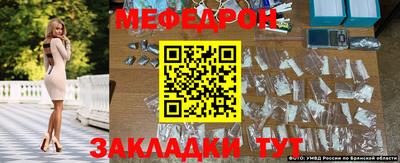 гашик Боровичи
