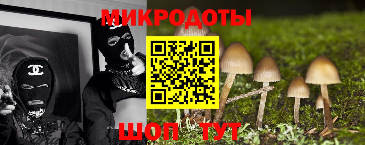 Псилоцибиновые грибы мухоморы Верхняя Салда